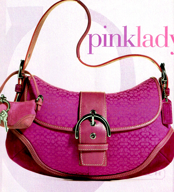 The Time Capsule: Coach Goes Public in Y2K